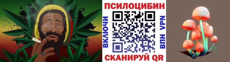 Купить закладки  Тара  Псилоцибиновые грибы ЛСД 